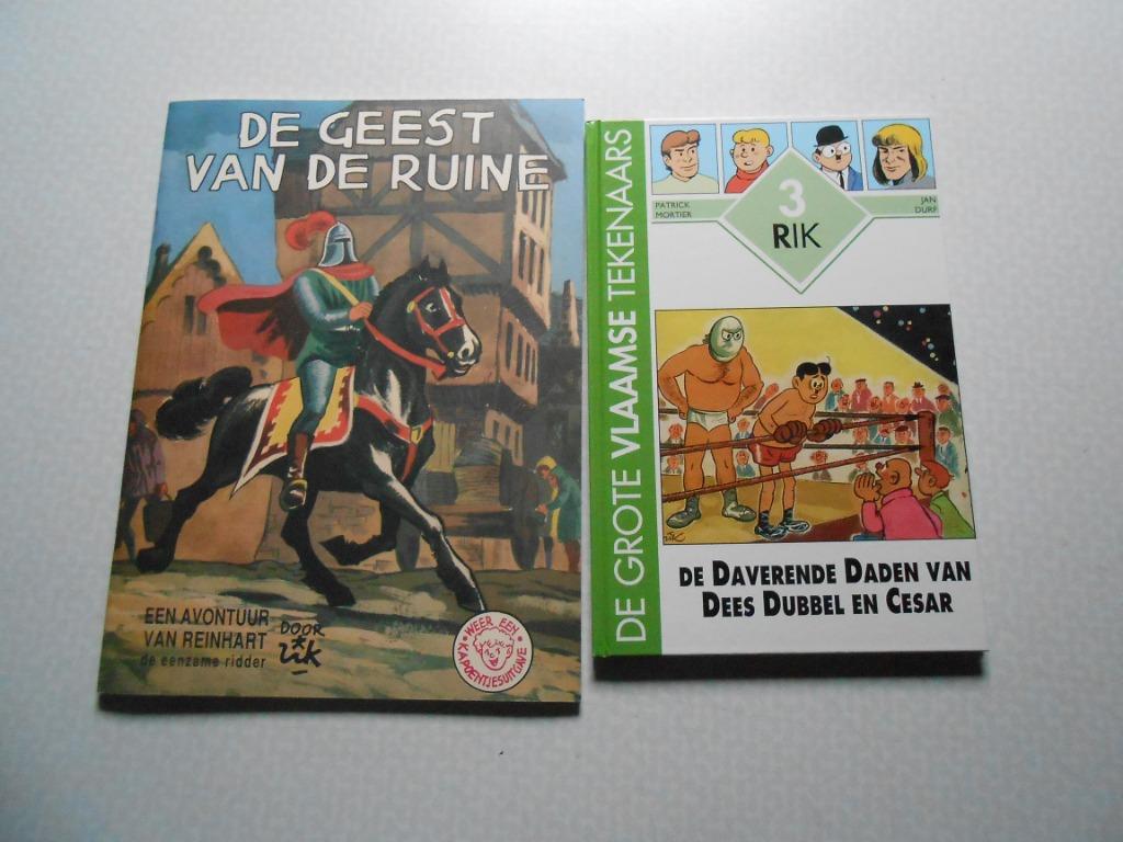 Ridder Reinhart De geest van de ruïne 1995 1 ste druk., Livres, BD, Neuf, Plusieurs BD, Enlèvement ou Envoi