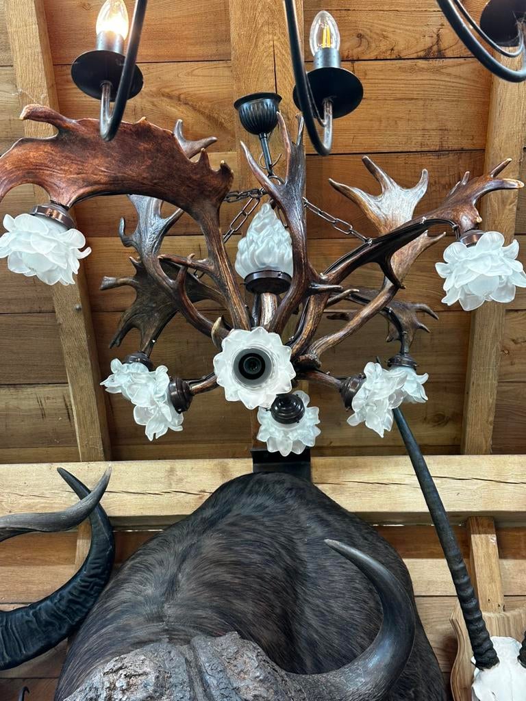 Gewei luster damhert met witte glazen bloemen, Enlèvement