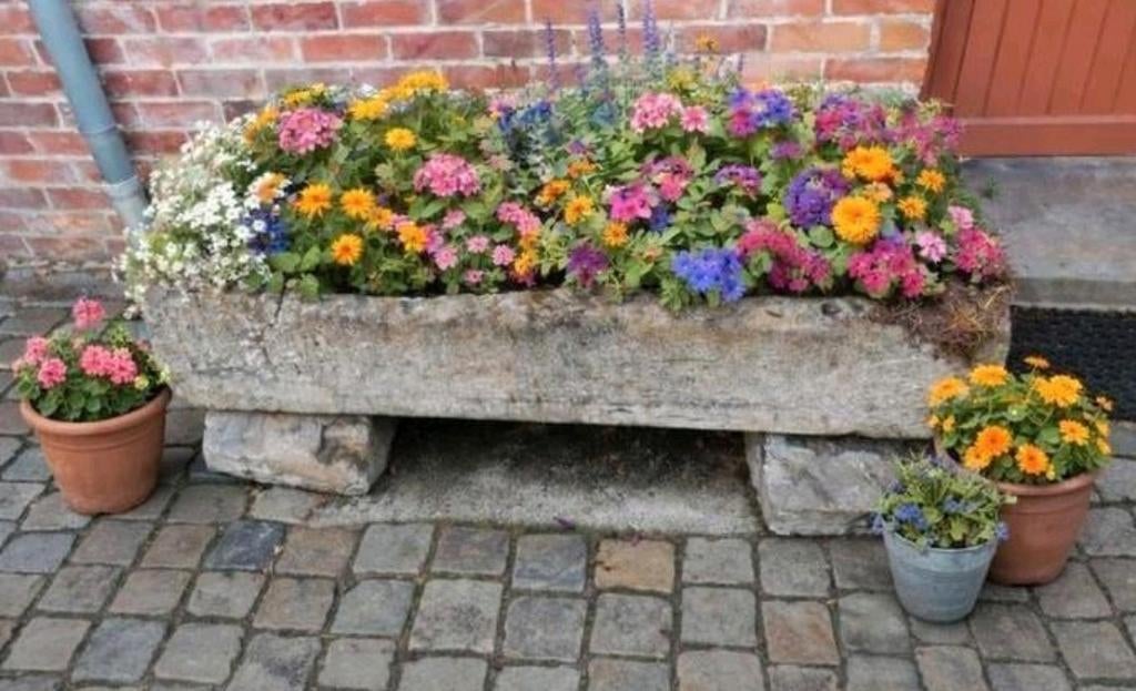 Arduinen plantenbak/antieke authentieke paardentrog, Ophalen