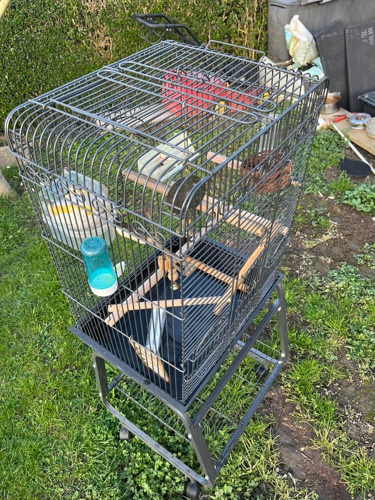 Cage oiseaux perruche ou perroquet, Animaux & Accessoires, Enlèvement, Comme neuf, Métal, Cage à oiseaux
