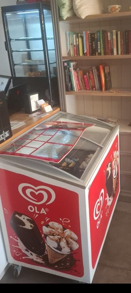 Ola  vriezer, Electroménager, Congélateurs, Enlèvement, Utilisé, Autoportant, Congélateur