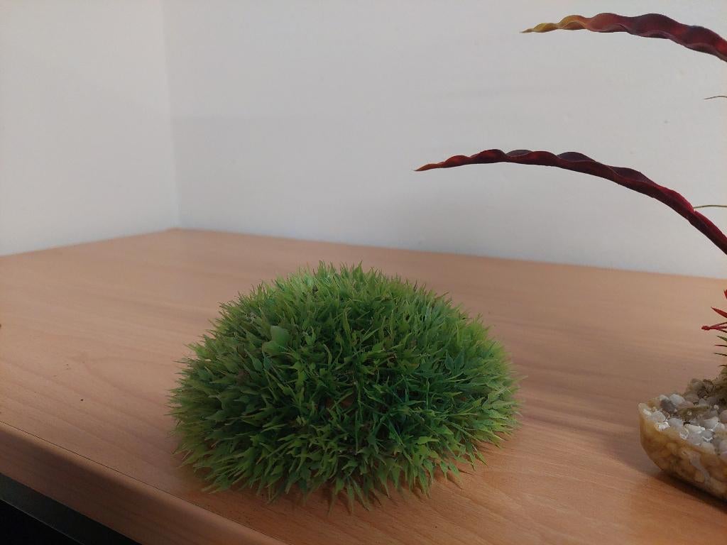 Aquarium versierattributen en grind, Dieren en Toebehoren, Vissen | Aquaria en Toebehoren, Gebruikt, Ophalen