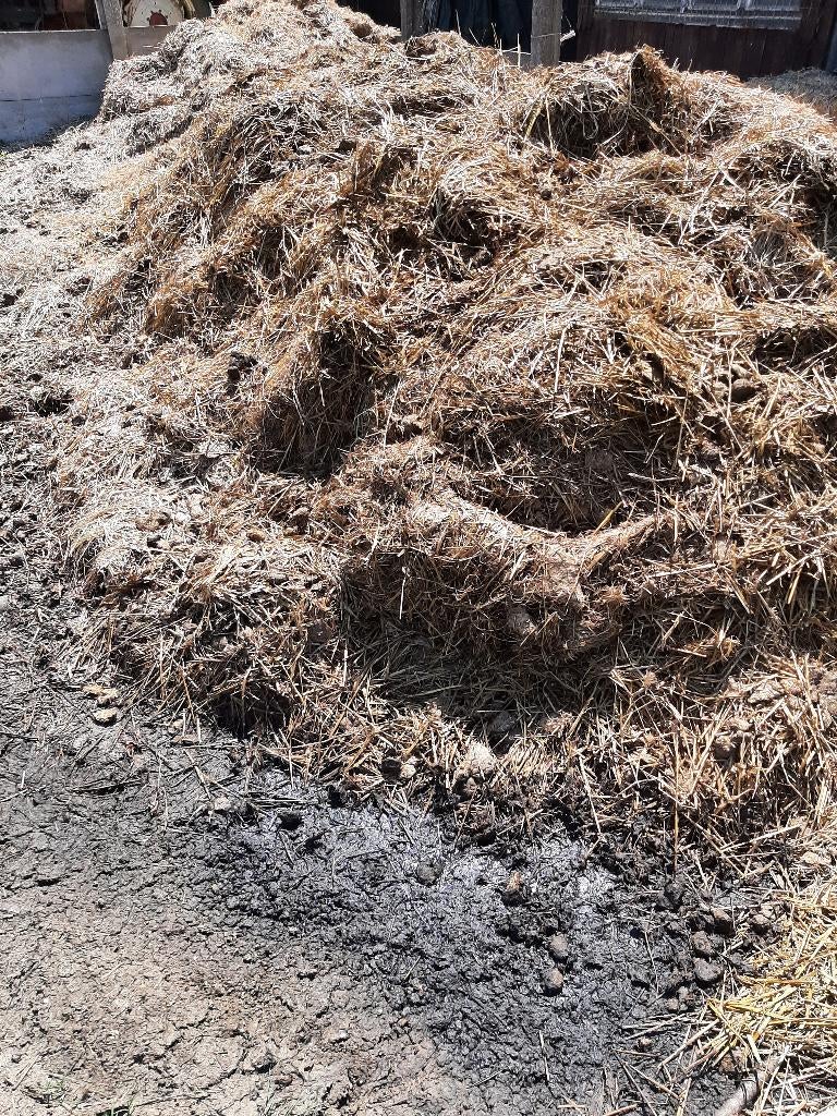 paardenmest, Ophalen, Mest