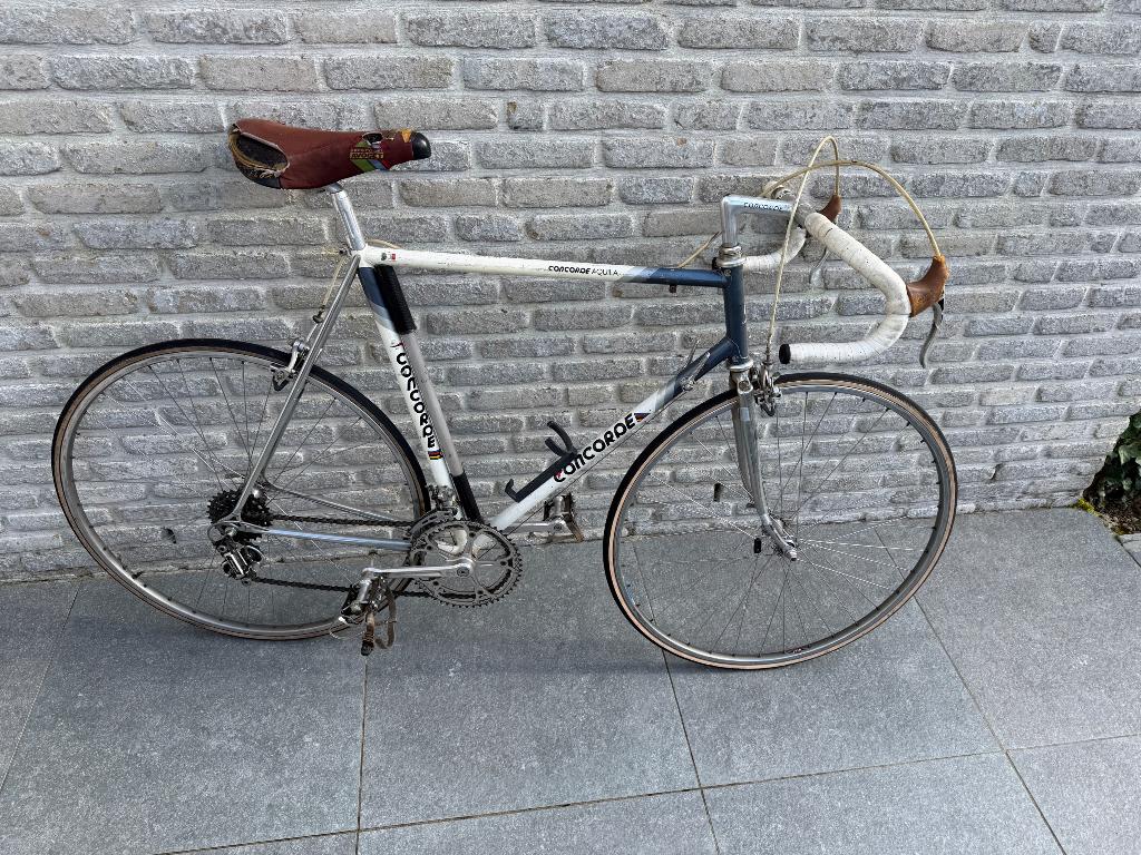 Concorde Aquila full Campagnolo super record panto, Vélos & Vélomoteurs, 55 à 59 cm, Enlèvement