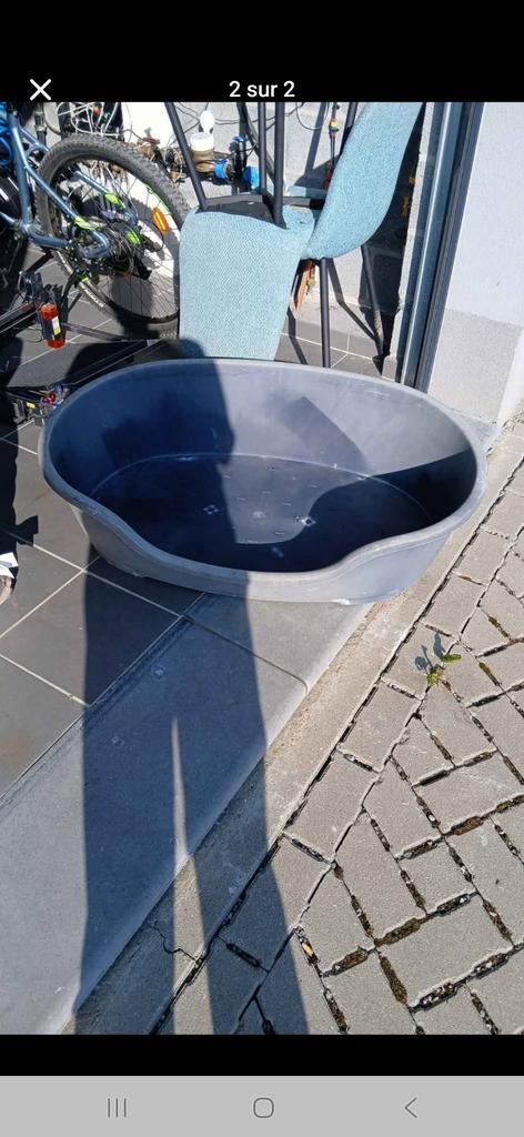 Panier chien, Enlèvement