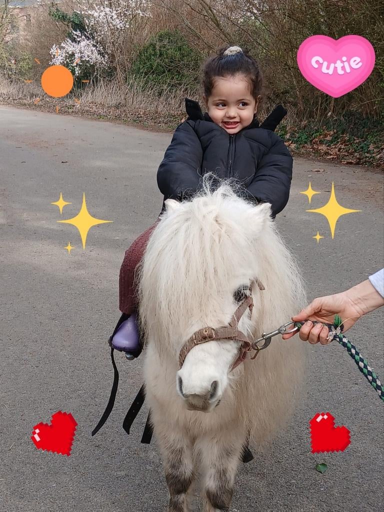 Superlief en  braaf mini paardje kindervriendje!!, Dieren en Toebehoren, Met stamboom, Ruin, Zadelmak, A pony (tot 1.17m)