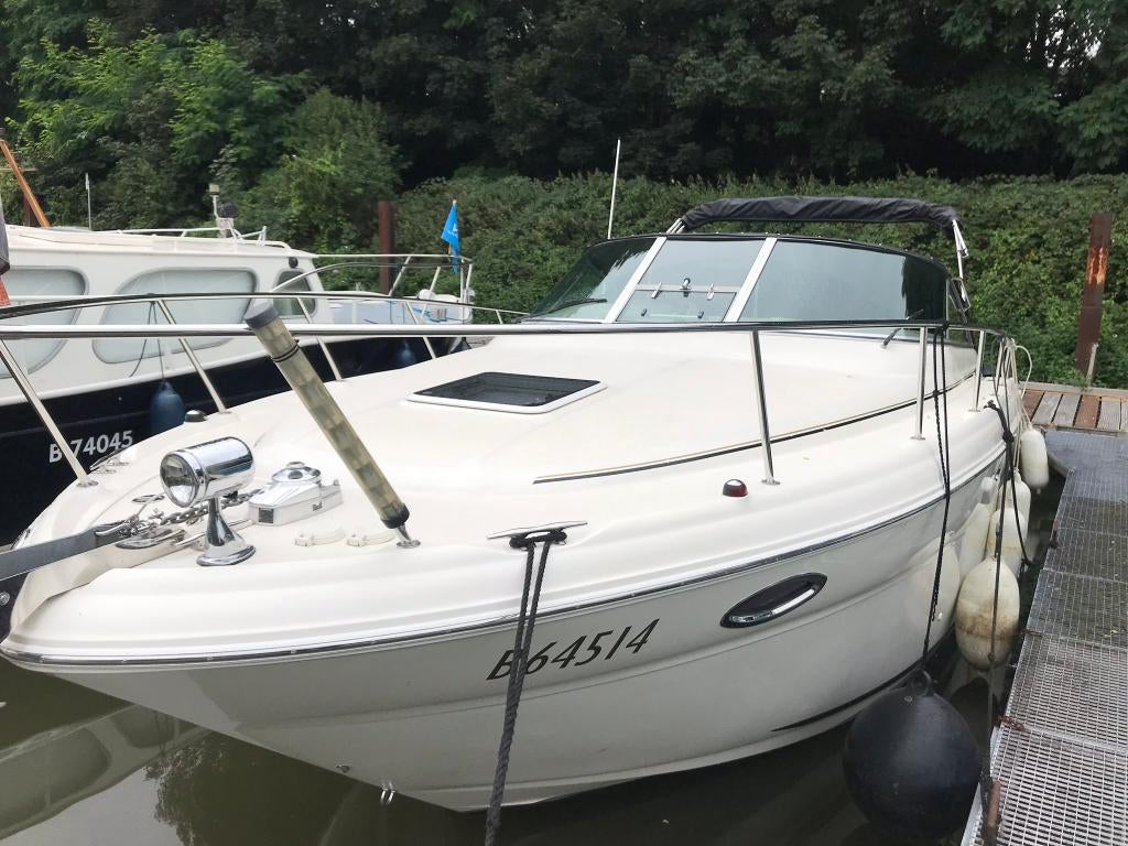 Sea Ray 315 Amberjack, Watersport en Boten, Motorboten en Motorjachten, Ophalen, Overige materialen, Gebruikt, Benzine