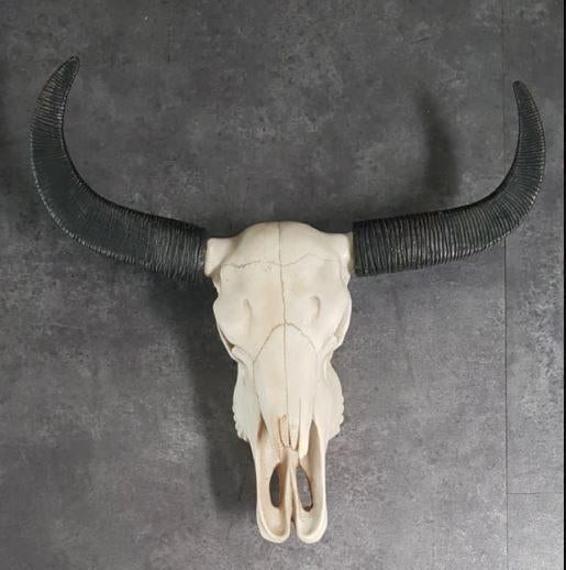 Waterbuffel western decoratie skull wand USA mancave kado, Ophalen of Verzenden, Zo goed als nieuw, Dier
