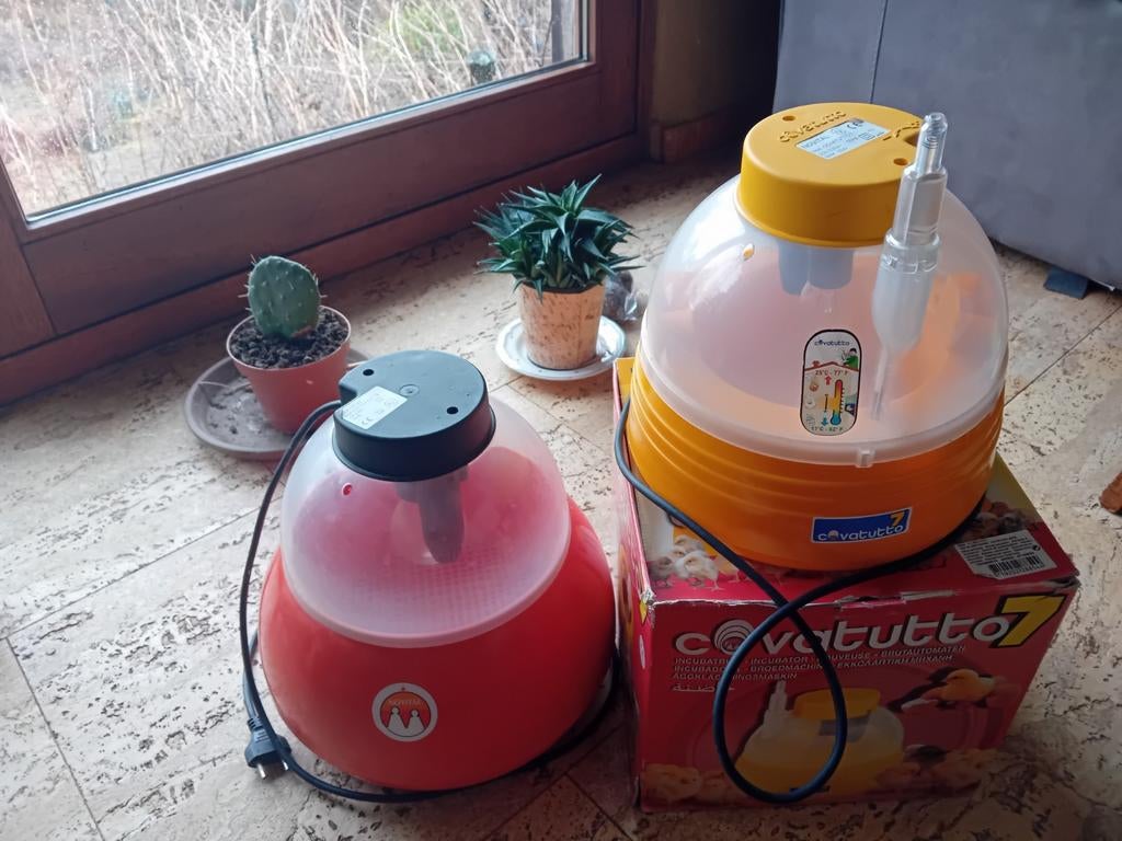 couveuse covatutto, Animaux & Accessoires, Volatiles | Accessoires, Enlèvement ou Envoi, Utilisé, Couveuse
