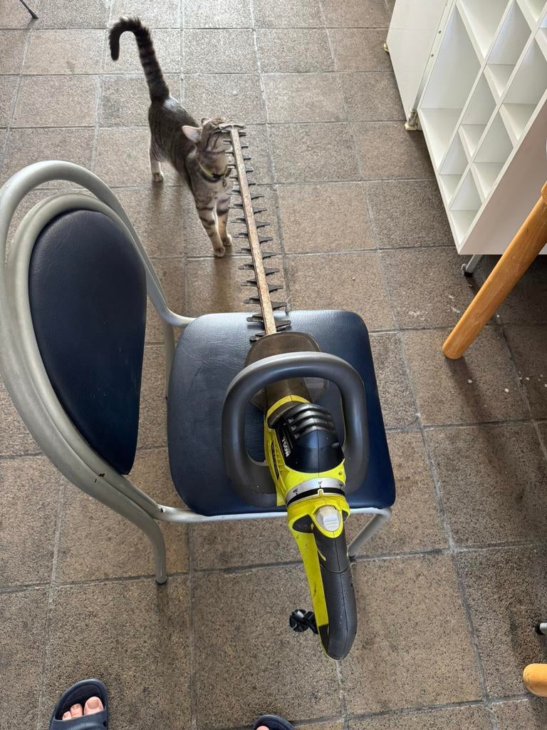 bosmaaier RYOBI 750w, Jardin & Terrasse, Débroussailleuses, Enlèvement, Utilisé, Électrique, Ryobi