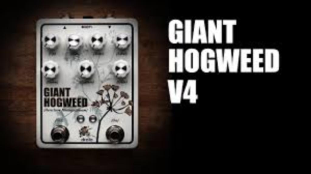 DROLO - GIANT HOGWEED, Ophalen of Verzenden, Distortion, Overdrive of Fuzz