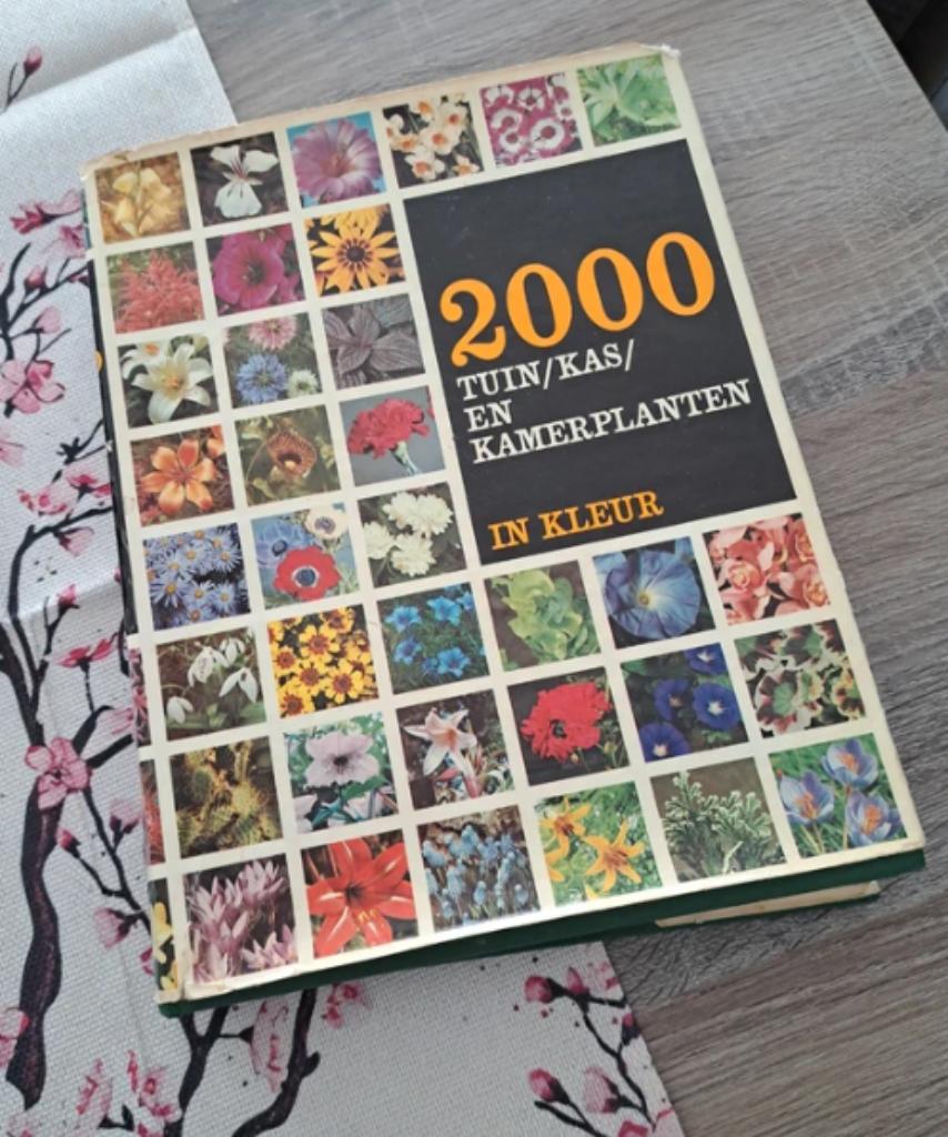 2000 tuin kas en kamerplanten, Ophalen of Verzenden, Gelezen, Kamerplanten