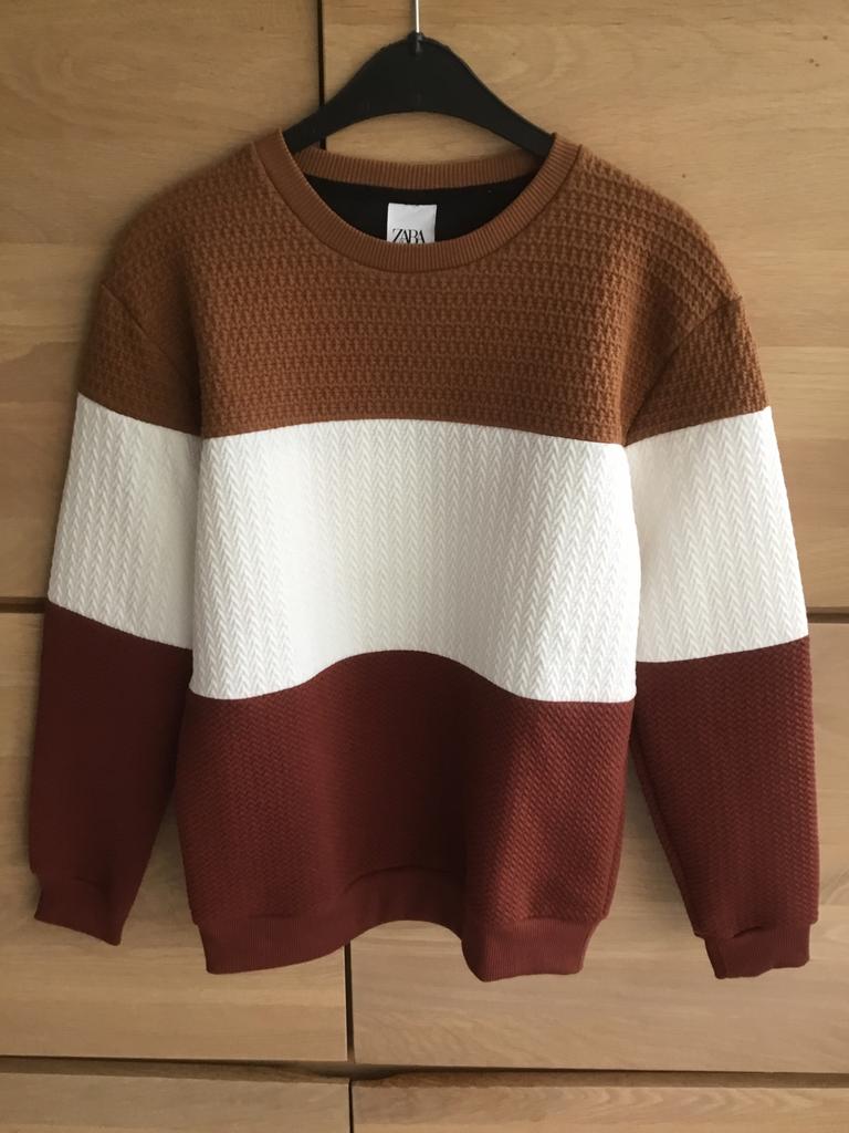 Trui/sweater ZARA, Kleding | Heren, Truien en Vesten, Overige kleuren, Ophalen of Verzenden, Zo goed als nieuw, Zara man