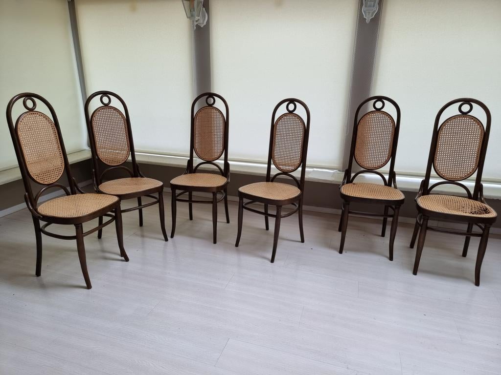 Kopie Monet stoelen, Huis en Inrichting, Stoelen, Ophalen