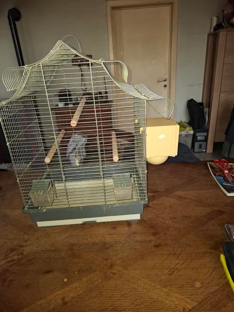 Vogelkooi, Enlèvement, Cage à oiseaux
