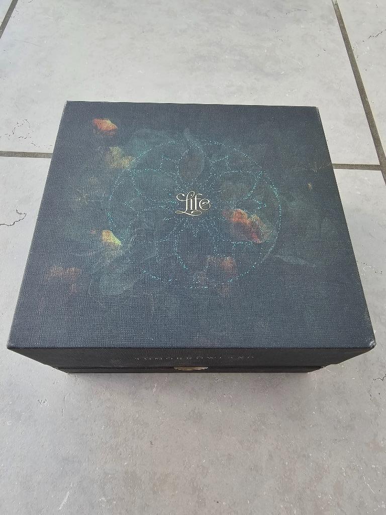Tomorrowland - Treasure case/box zonder bandje, Verzamelen, Ophalen of Verzenden