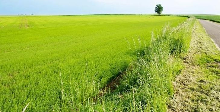 Cherche terrains agricoles à vendre, Enlèvement, 1 à 5 ha, Sol à cultiver