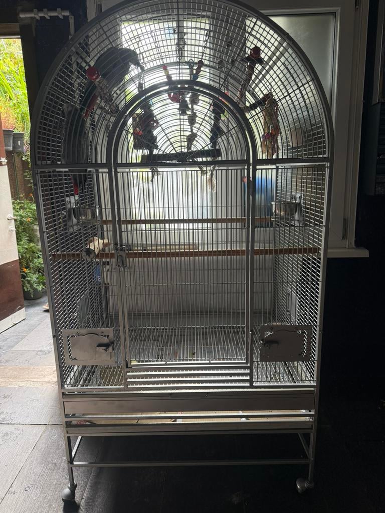 Grote papegaaienkooi, Ophalen, Zo goed als nieuw