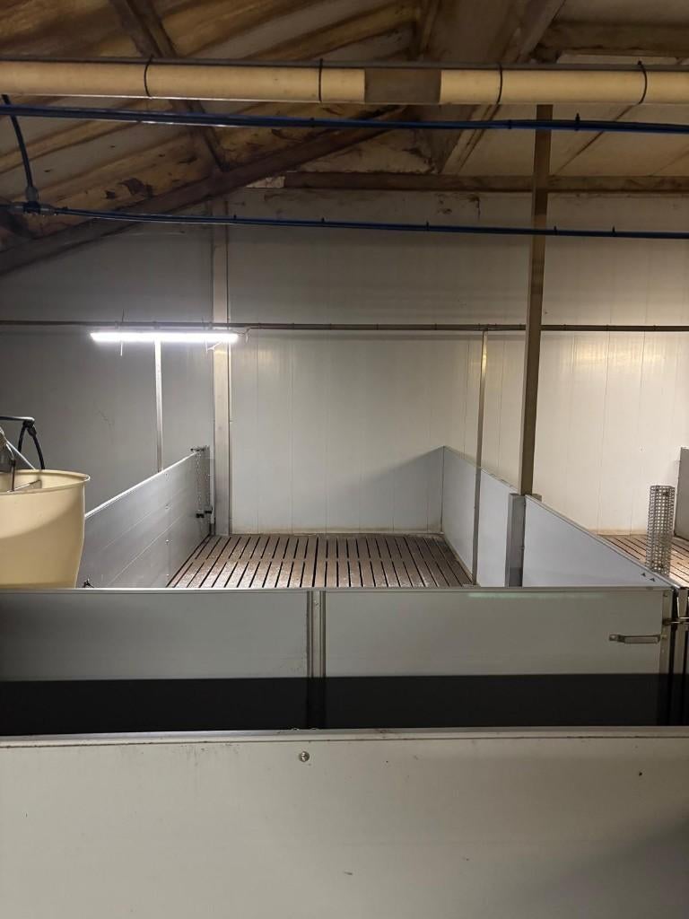 Kunststof hokinrichting voor vleesvarkens [535], Dieren en Toebehoren, Stalling en Weidegang