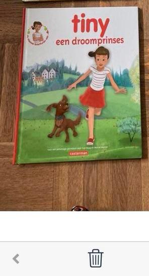 Tiny boeken : droom prinses, Ophalen of Verzenden, Gelezen