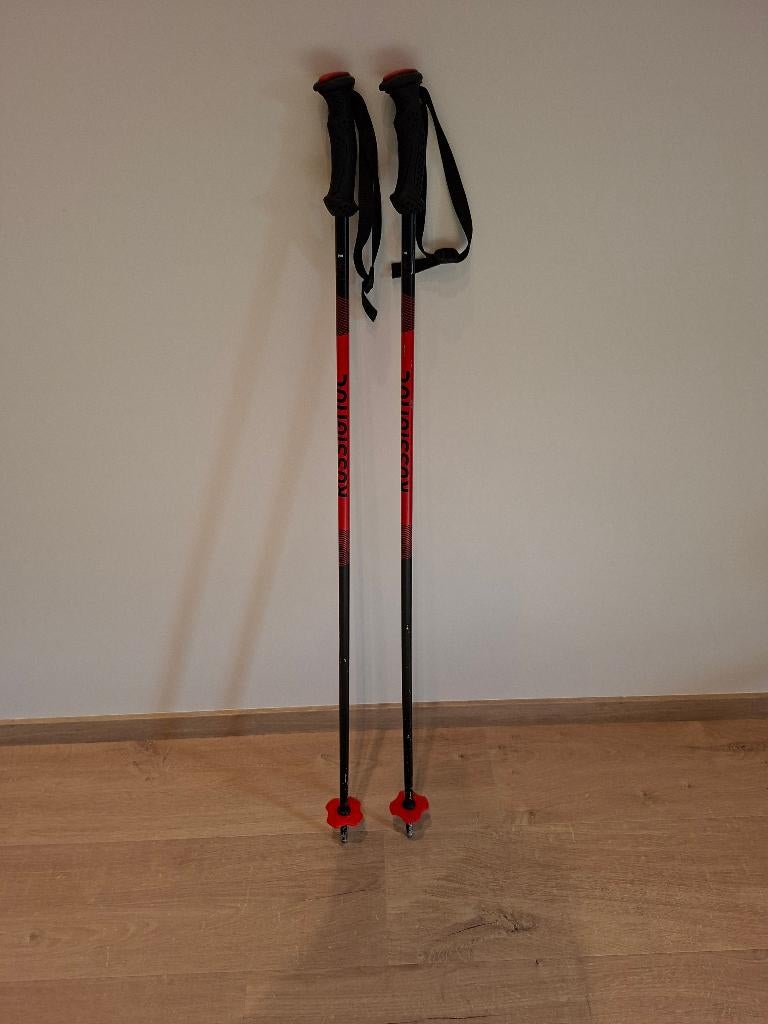 Bâtons Ski 100 cm, Sports & Fitness, Enlèvement, Comme neuf, Ski, Bâtons
