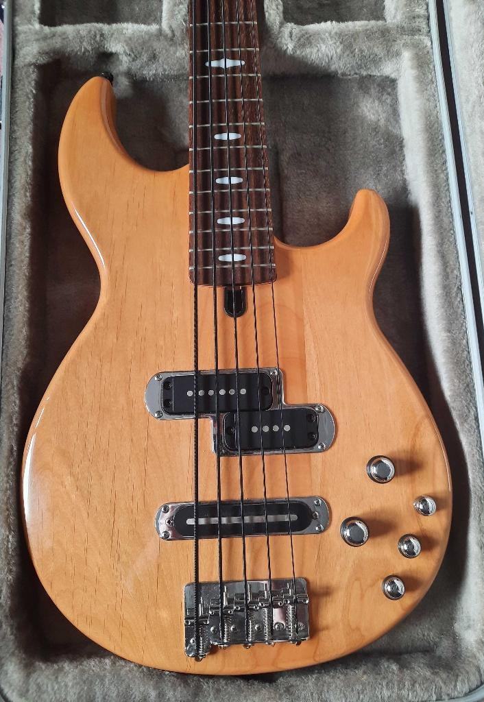 Yamaha BB615, Muziek en Instrumenten, Snaarinstrumenten | Gitaren | Bas, Ophalen, Zo goed als nieuw, Elektrisch, 5-snarig