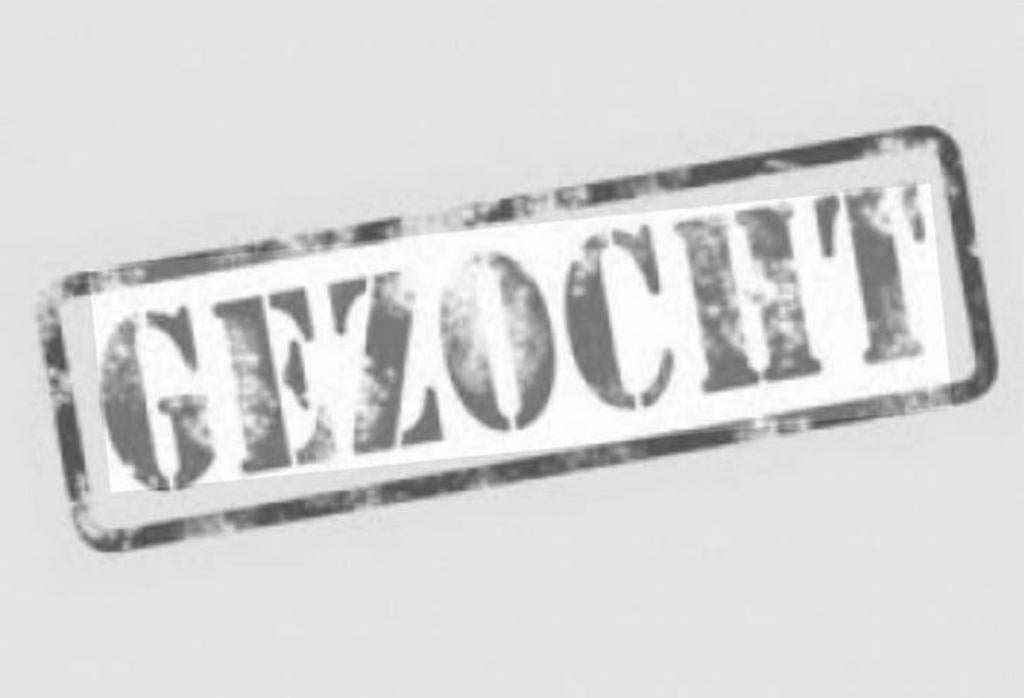 Braaf beginners paard, Dieren en Toebehoren, Paarden