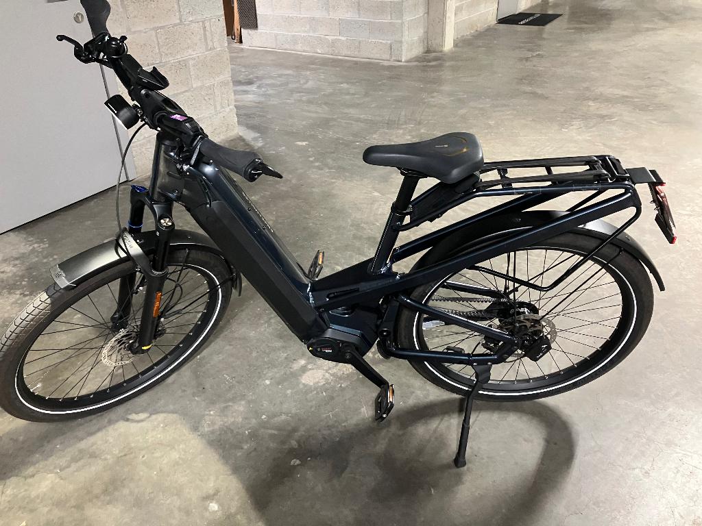 Riese en Müller Homage4 GT rohloff Hs, Fietsen en Brommers, Gebruikt, 47 tot 51 cm, 50 km per accu of meer, Ophalen