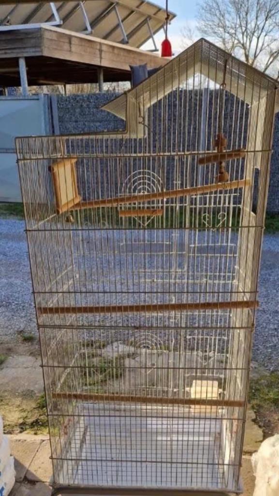 Cage à oiseaux, Animaux & Accessoires, Enlèvement, Cage à oiseaux