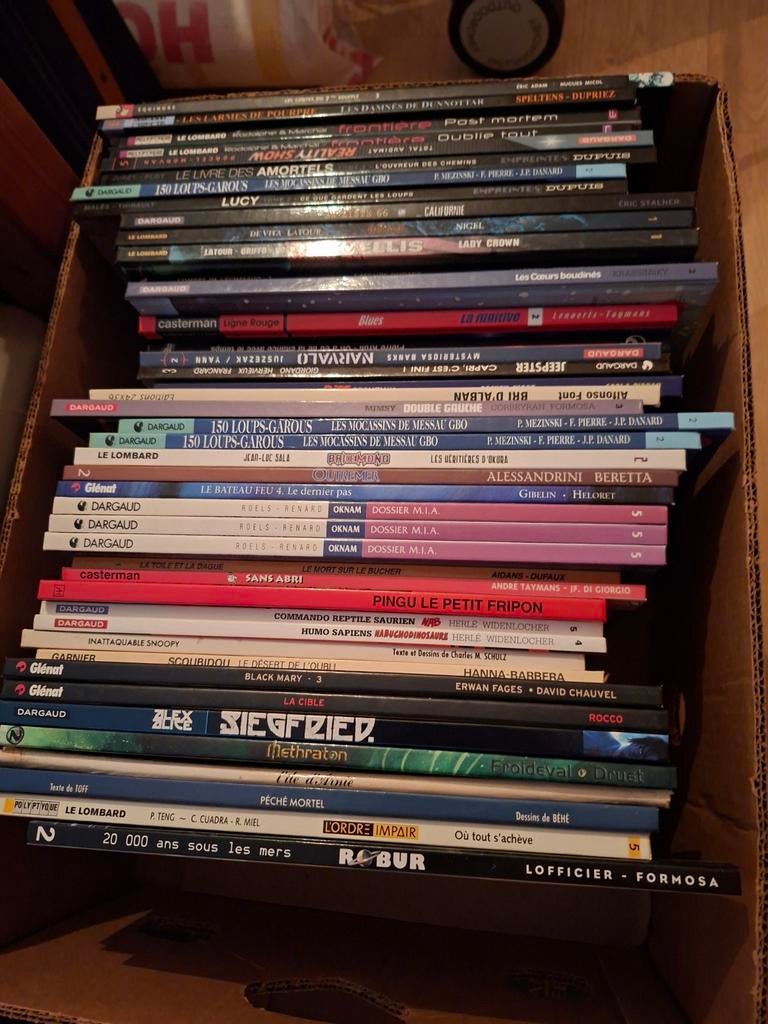 Gros lot de bd, Livres, Enlèvement