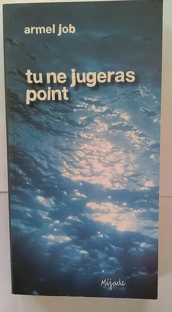 „Je zult niet oordelen” Armel Job (2017) NIEUW!, Ophalen of Verzenden, Nieuw, Armel Job