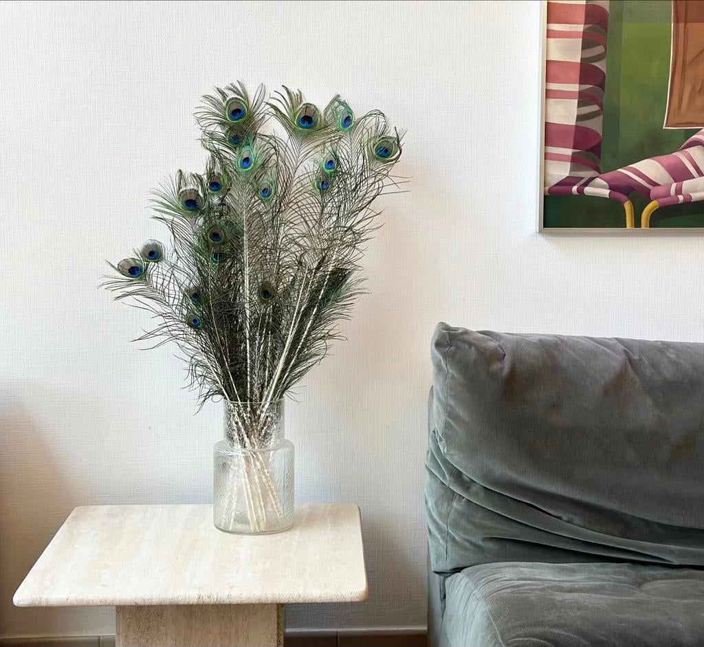 Pauwenveren, Huis en Inrichting, Woonaccessoires | Droogbloemen, Ophalen of Verzenden