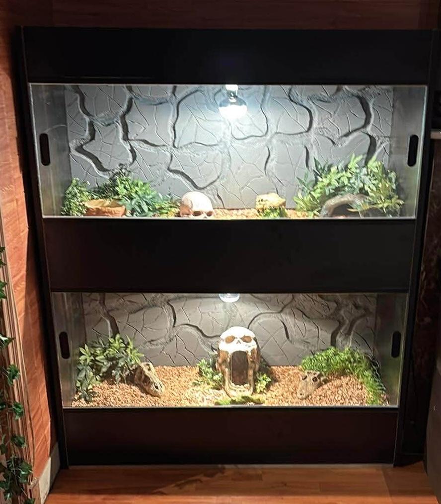 Luxe Dubbel Terrarium 125x150 cm – Volledig Handgemaakt, Enlèvement, Neuf, Terrarium ou Paludarium