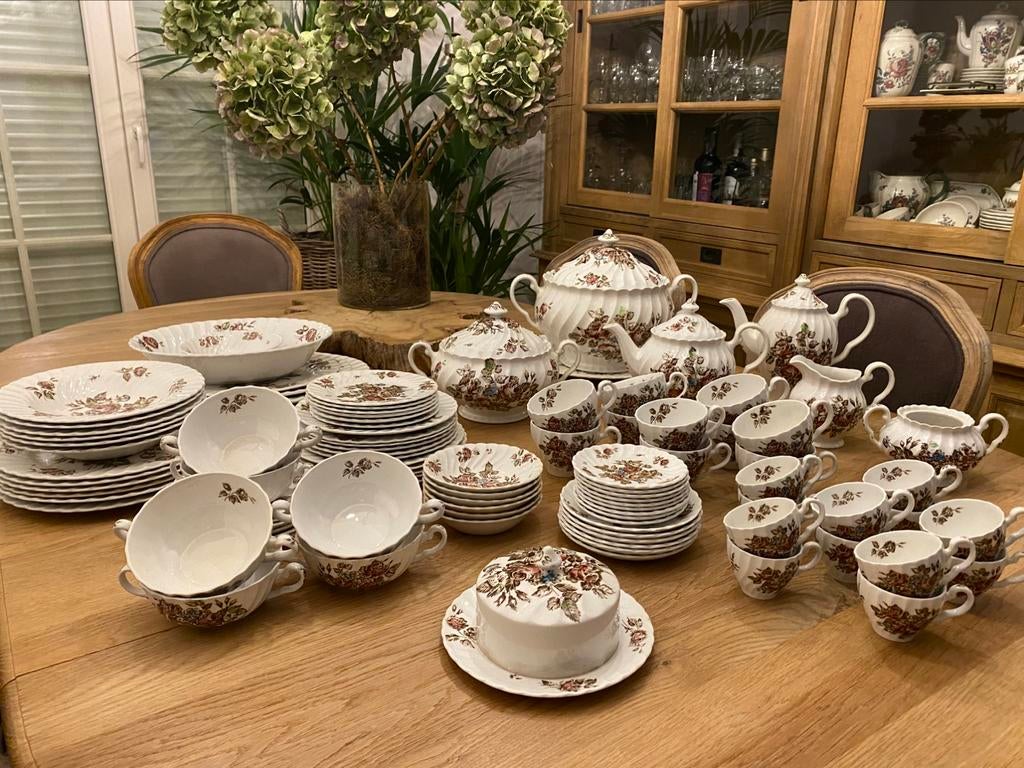 Johnson Bros DEVON SPRAYS  (bruin multicolor) servies, Ophalen