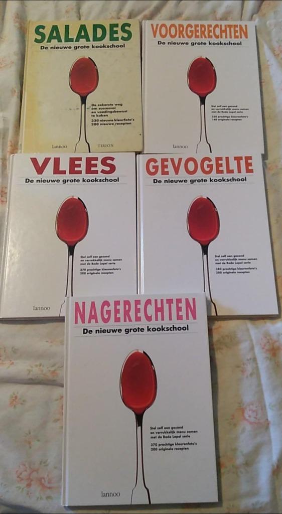 de nieuwe grote kookschool, Boeken, Ophalen of Verzenden