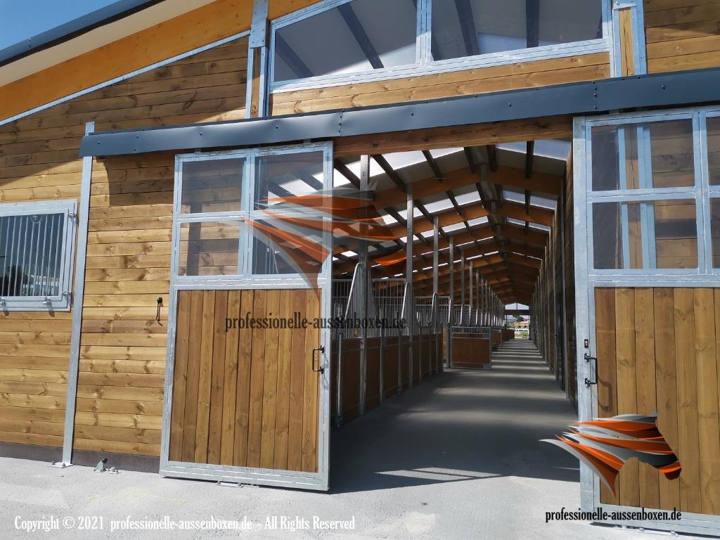 Paardenstal & Buitenbox - Schuilplaats en Paardenbox, Pâturage