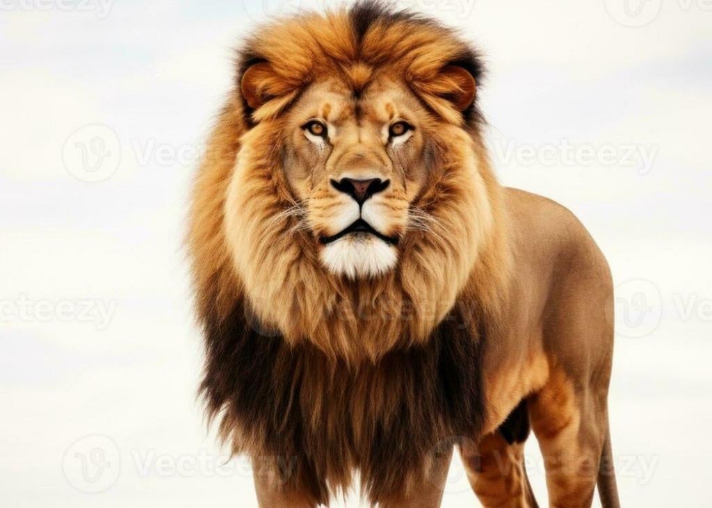 Sérieux cherche sérieuse, Contacten en Berichten, Man zoekt Vrouw