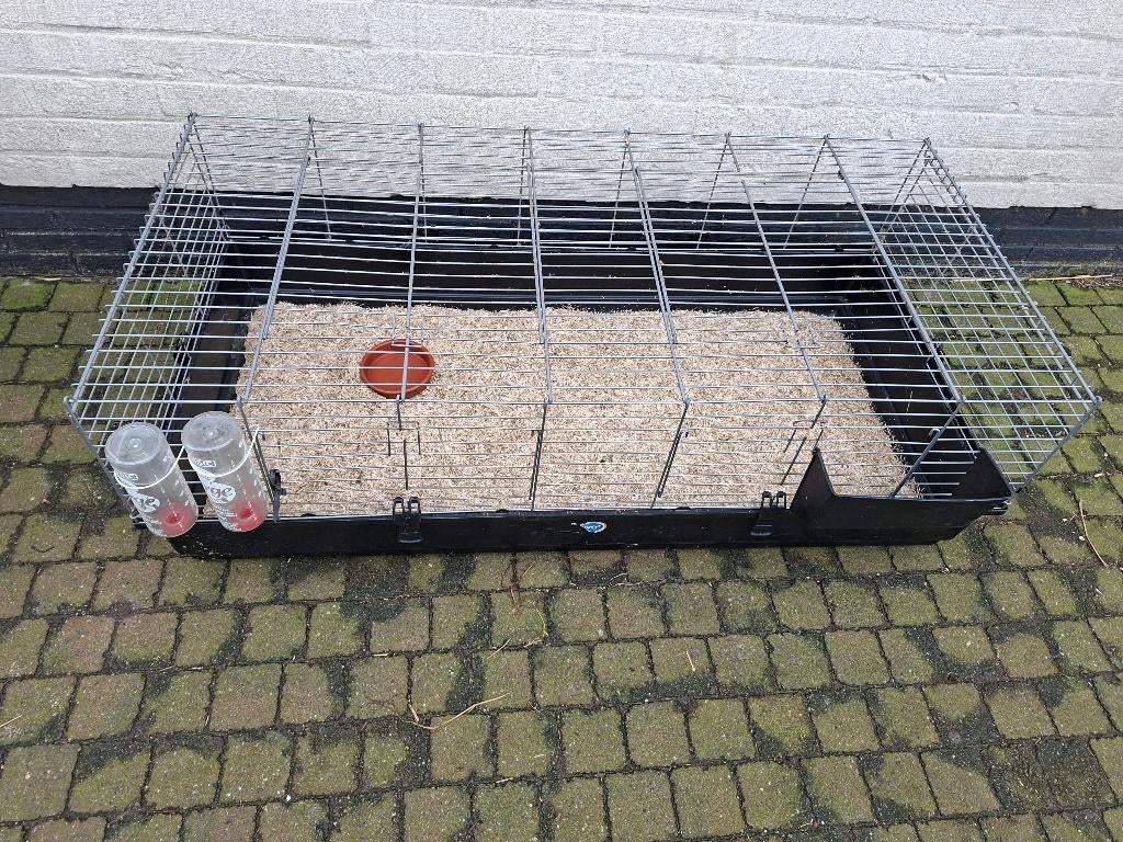 Luxe Binnenkooi, Dieren en Toebehoren, Januari, Geslacht onbekend, Cavia