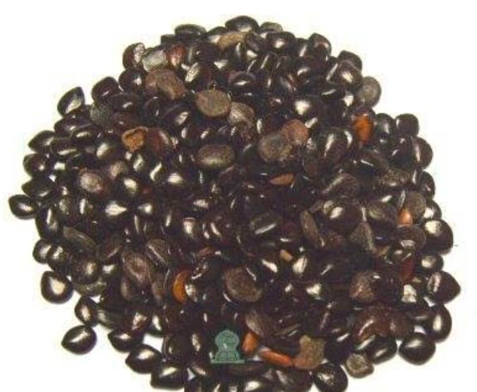 Nigela sativa originele pure zaadjes. Of al klaargemaakt, Ophalen of Verzenden