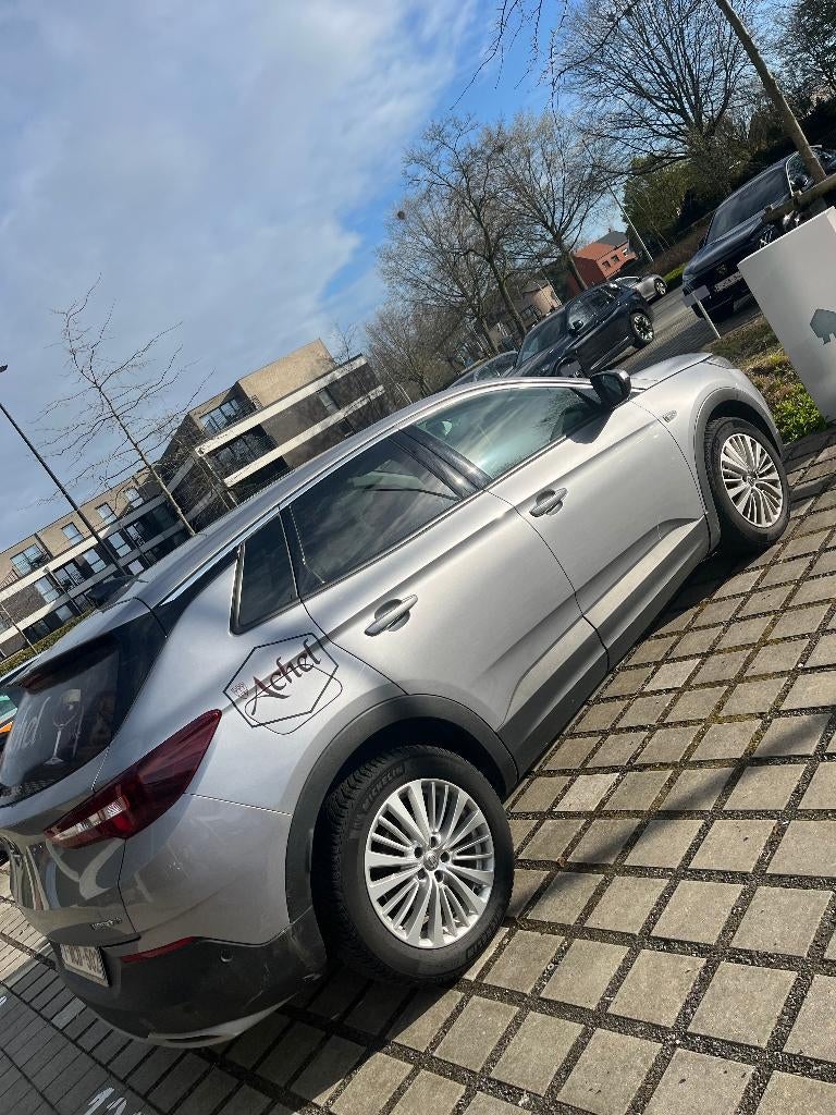Opel Grandland X, Auto's, Opel, 4 cilinders, Leder, Bedrijf, Diesel