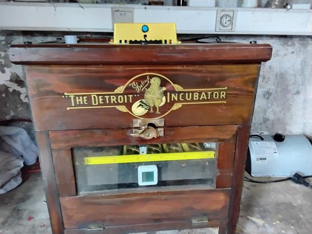 Incubateur Detroit à fermeture automatique 36 œufs de poule, Enlèvement ou Envoi, Couveuse
