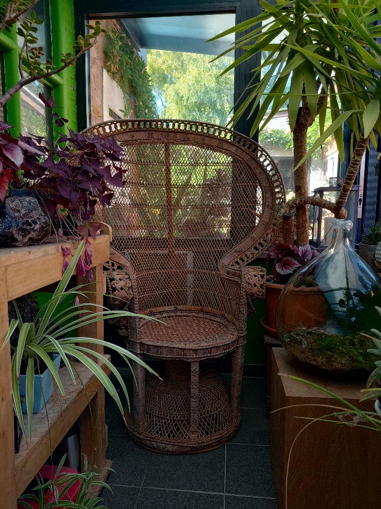 Peacock chair Emmanuelle, Huis en Inrichting, Stoelen, Ophalen, Riet of Rotan