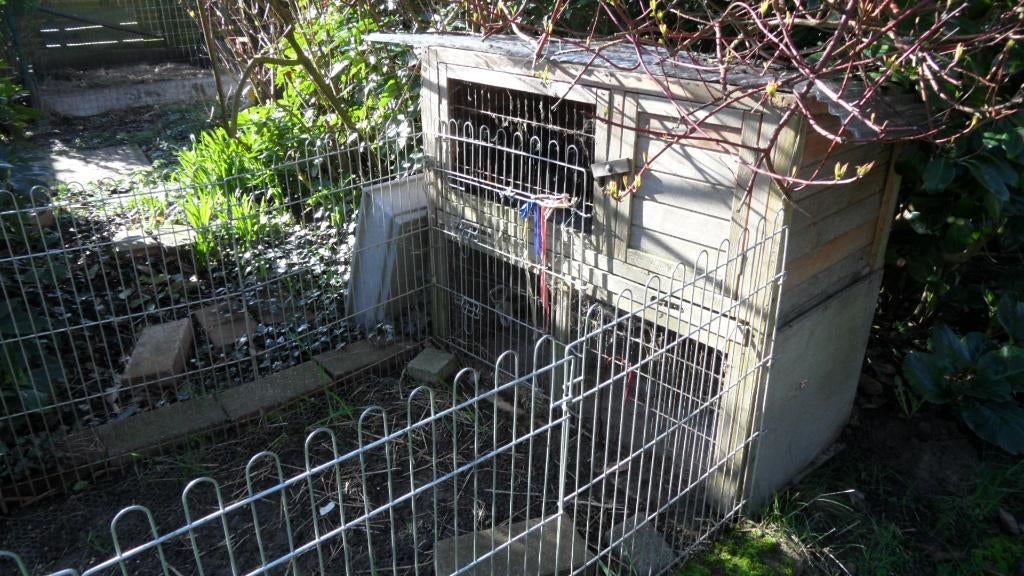 Oud konijnenhok, Niche, 75 à 110 cm, Enlèvement, Utilisé