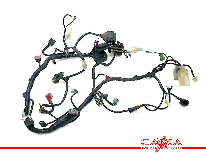 KABELBOOM Honda CBF 1000 2006-2009 (CBF1000 SC58), Motoren, Dhr. S. di Majo, Gebruikt, Info@cama-motorparts.nl, P.J. Troelstraweg 8 8
3144 CX  MAASSLUIS, NL