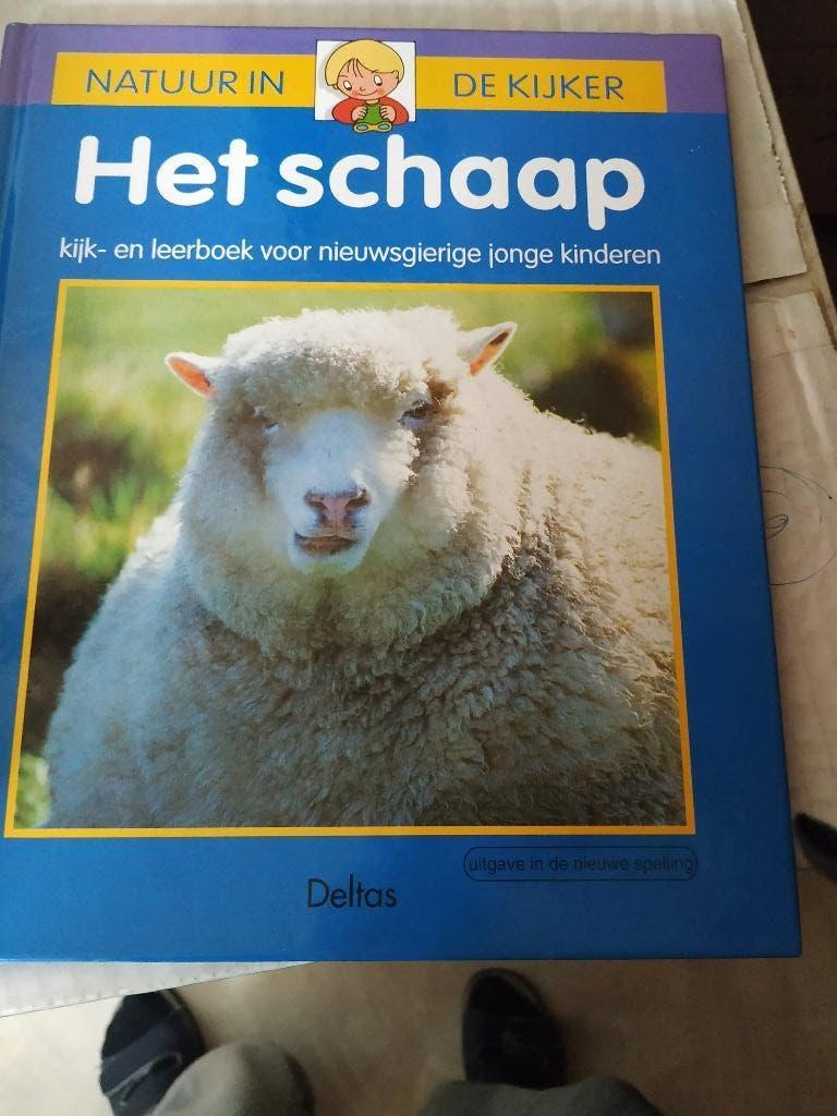 leerrrijk boek natuur in de kijker voor kinderen het schaap, Ophalen of Verzenden