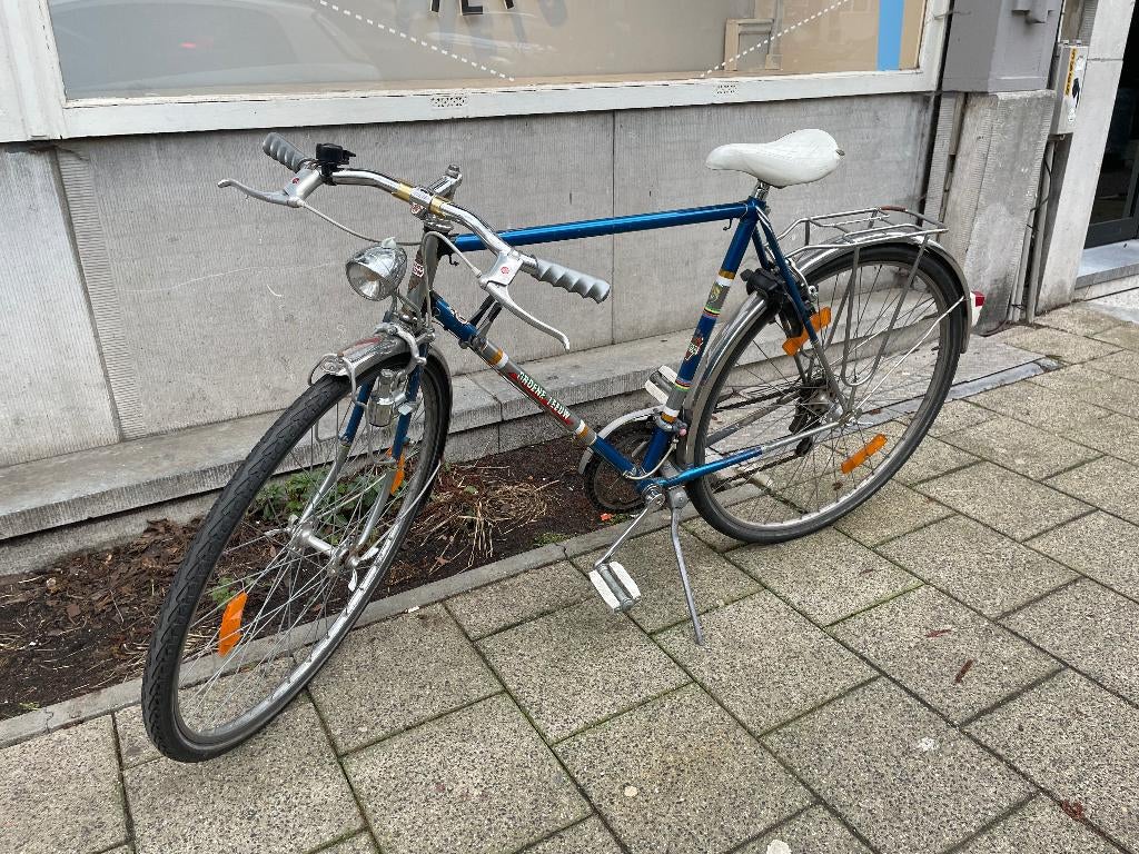 Vintage | retro groene leeuw, Fietsen en Brommers, Fietsen | Oldtimers, Ophalen