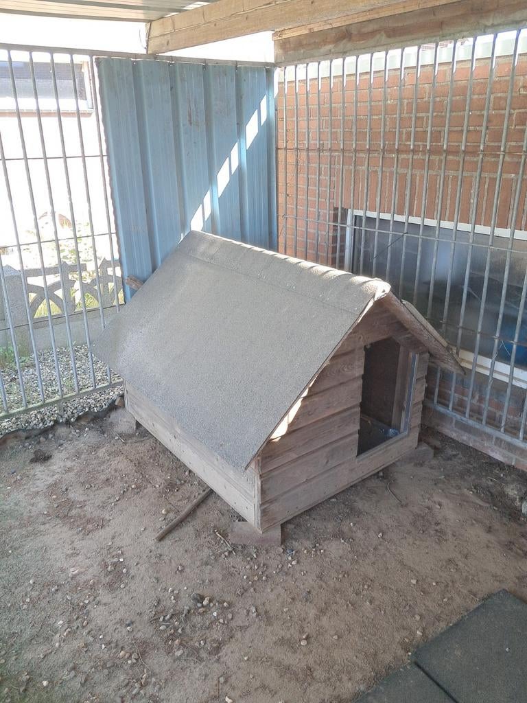 Hondenhok, Dieren en Toebehoren, Hondenhokken, Ophalen, Hondenhok