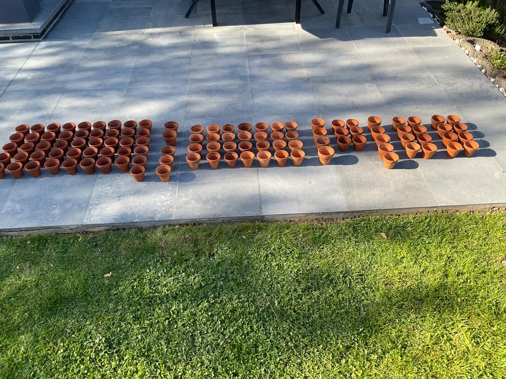 Lot de pots de fleurs rustiques pour la culture en argile, Enlèvement, Utilisé