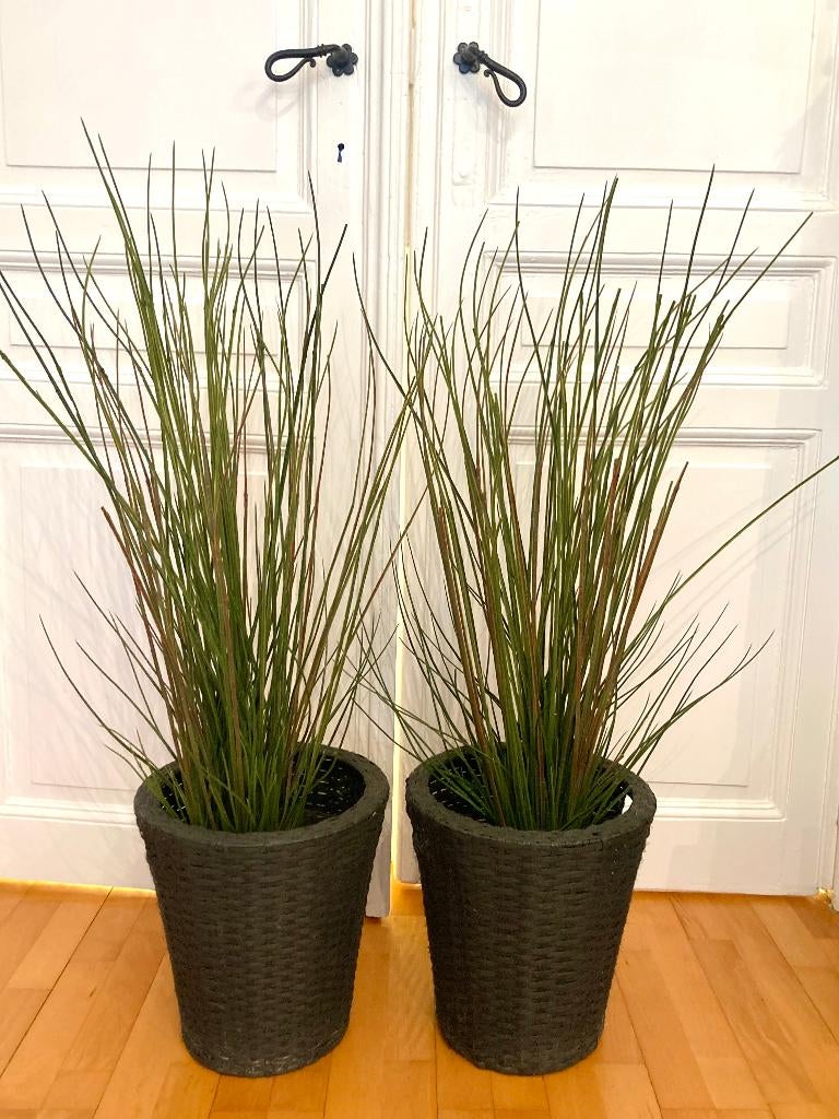 Lot de 2 grandes plantes artificielles et 2 caches pots, Enlèvement, Comme neuf