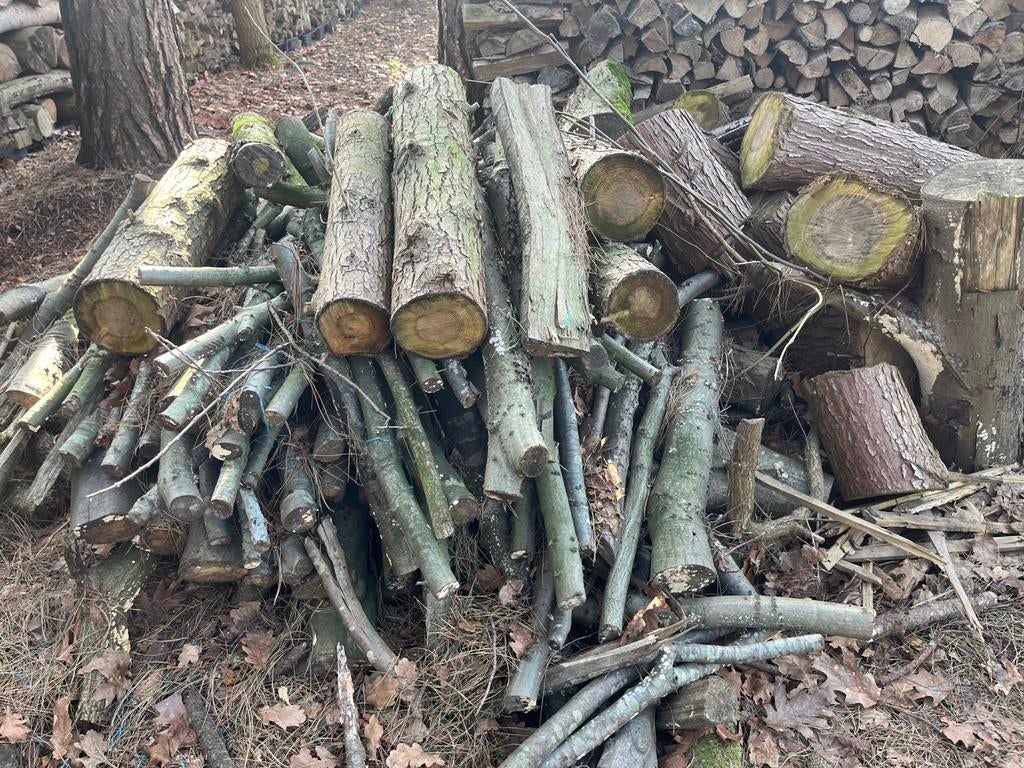 Brandhout, Enlèvement, Troncs d'arbres